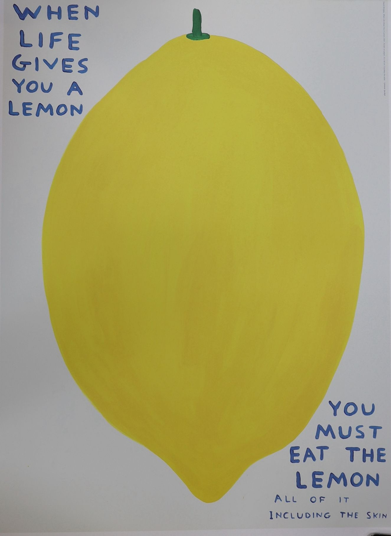 David Shrigley (1968-), two colour prints, 'When life gives you a lemon' and 'They were too long', 80 x 60cm, unframed
